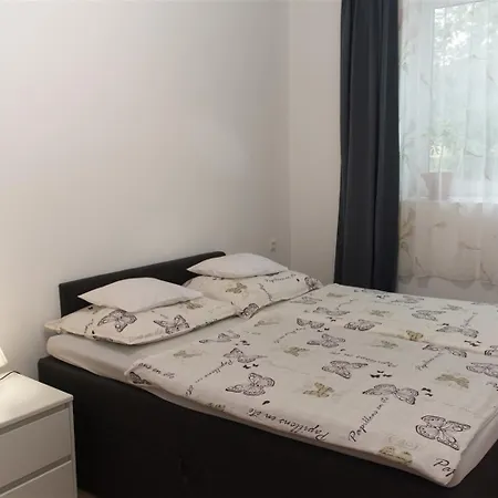 Silver Dream Apartmanhaz * 데브레첸